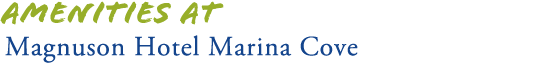 St Petersburg Pier Hotel Services & Amenities