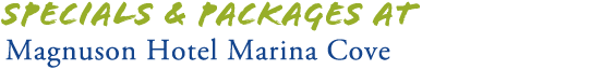 Pet Friendly Hotels St Petersburg Beach Rays Baseball Packages