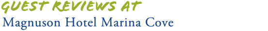 Pet Friendly Hotels St Petersburg Beach Guest Reviews