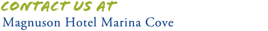 St Petersburg Pier Hotel Contact Us