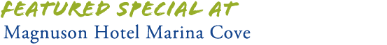 Tampa Bay Hotel Featured Special