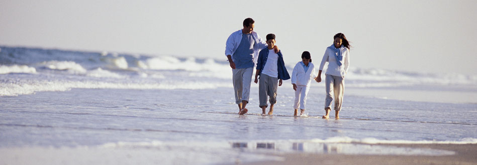 Pet Friendly Hotels St Petersburg Beach Residents Packages