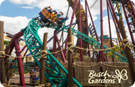Pet friendly Hotels St Pete Beach Gardens