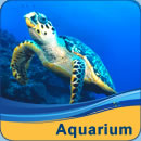 St Petersburg Pier Hotel Aquarium Package