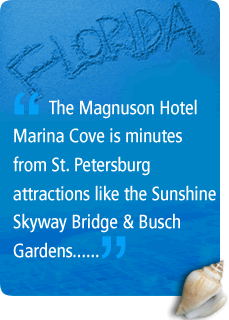 Tampa Bay Things To Do