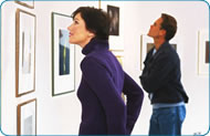 St Pete Pier Hotel Arts Package