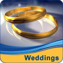 Pet Friendly Hotels St Petersburg Beach Weddings